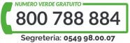 numverde2019 3 e1582969808497