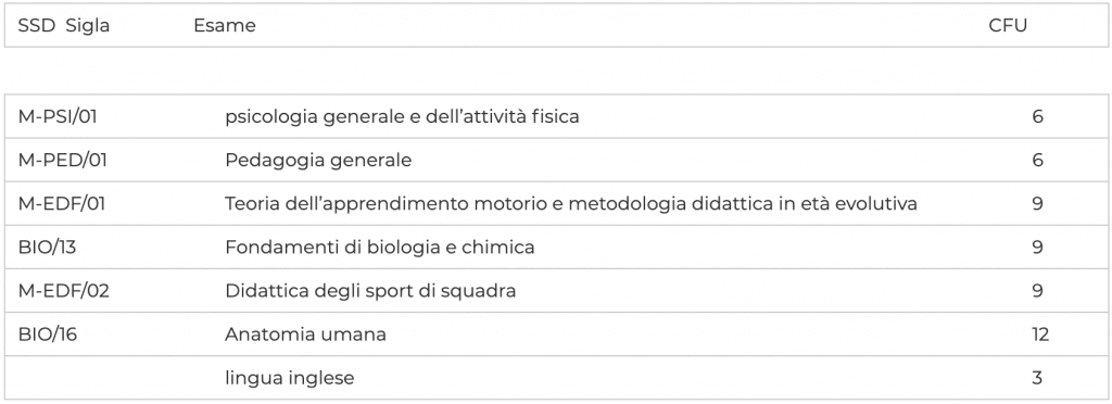 primo anno football