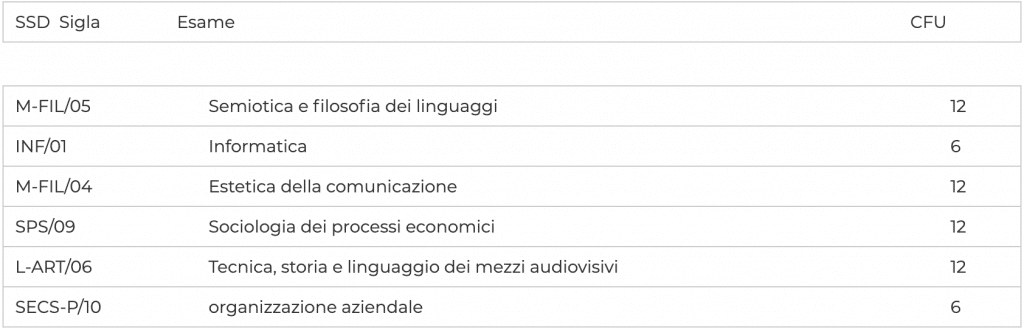 primo anno influencer