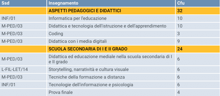 programma master didattica distanza primaria