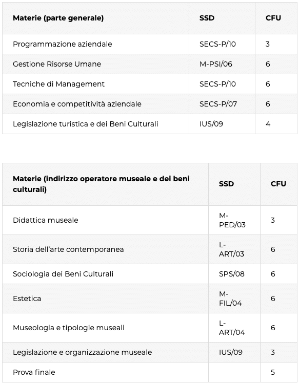 programma master operatore museale