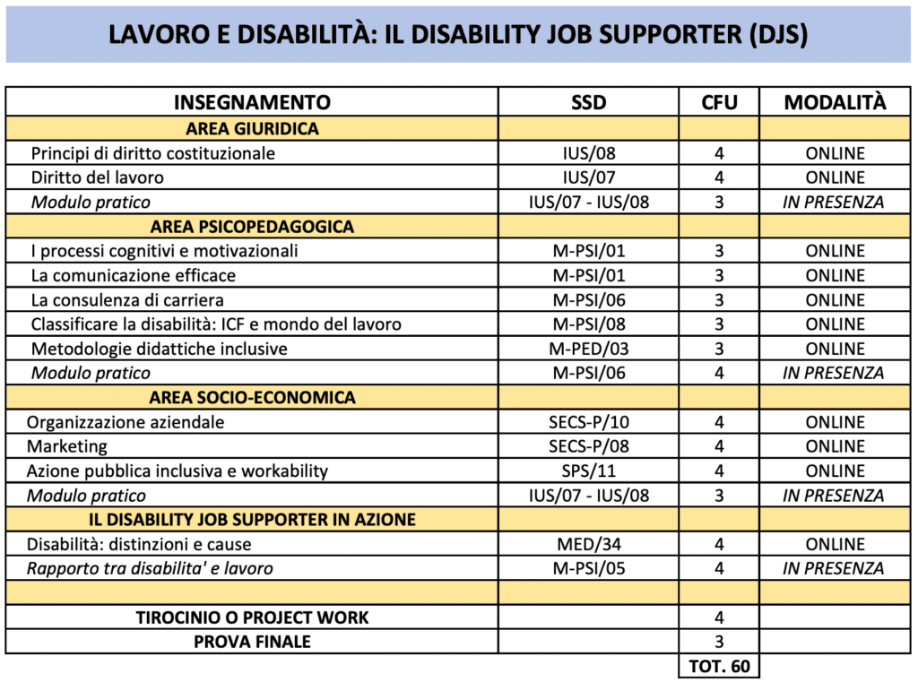 master online Lavoro e disabilita IL Disability Job Supporter DJS