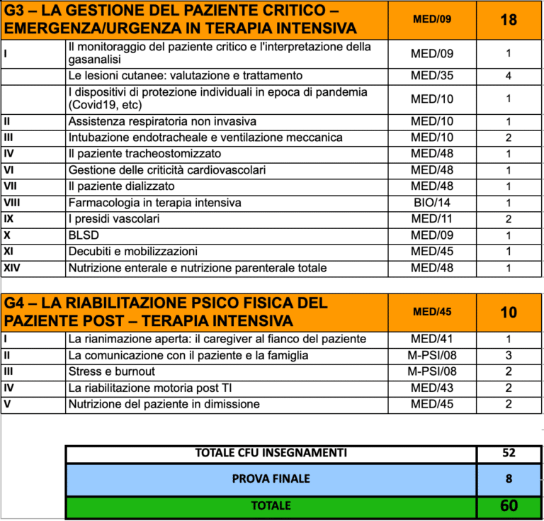 Master online in Assistenza infermieristica in terapia intensiva 2