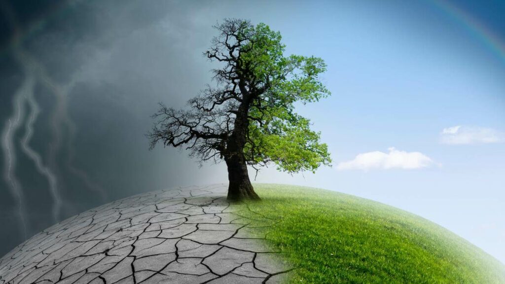 Climate change sostenibilita cruciale per il 98 per cento dei top manager