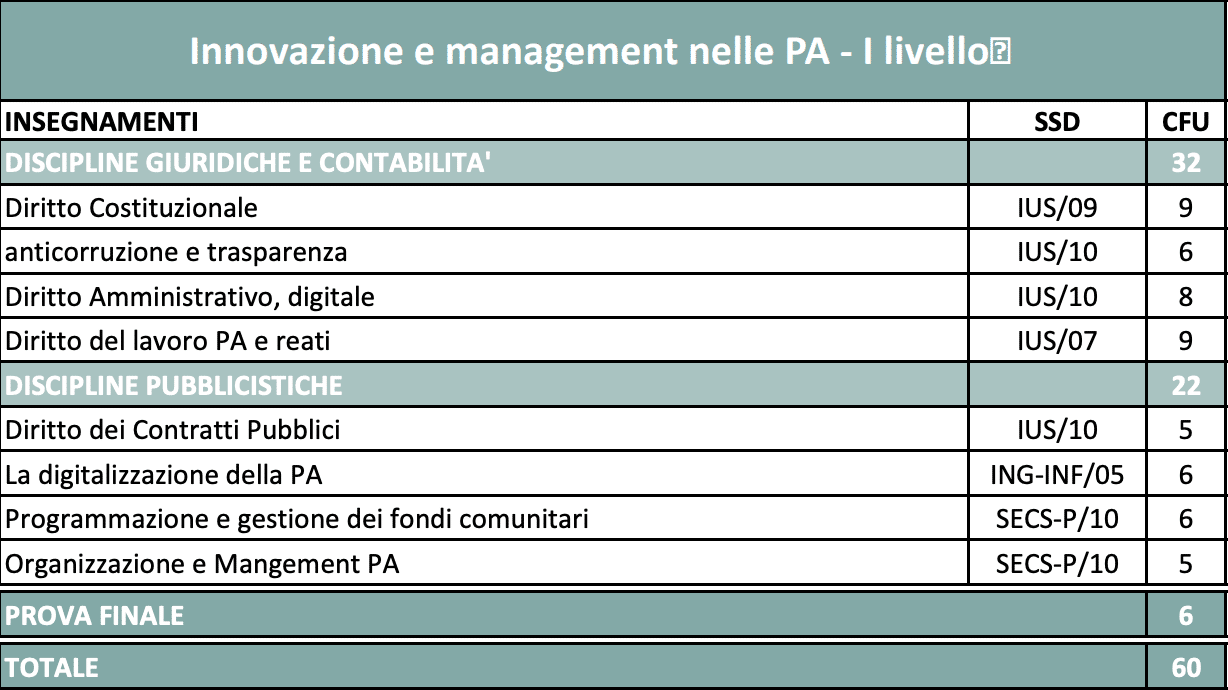 programma master online Innovazione e Management nelle PA