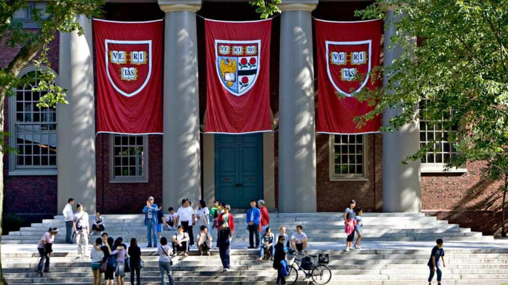 news università Harvard