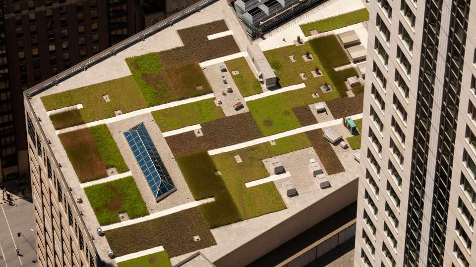 tetti verdi e bioarchitettura - cosa sapere per architetti e ingegneri