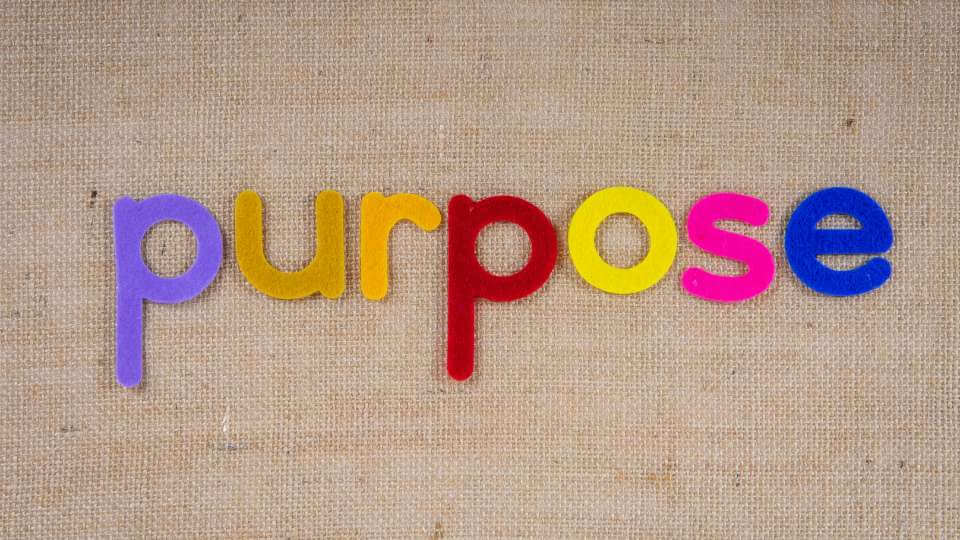 Società Benefit - normativa, esempi e vantaggi