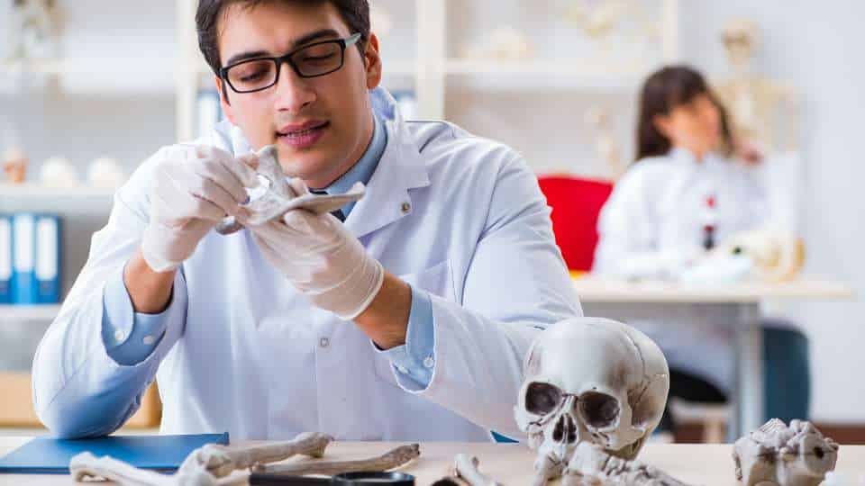 Antropologia forense - disciplina chiave per criminologi e investigatori