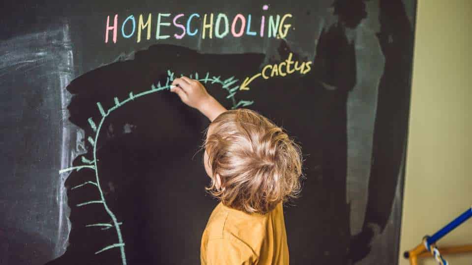 Homeschooling - cosa dice la legge italiana