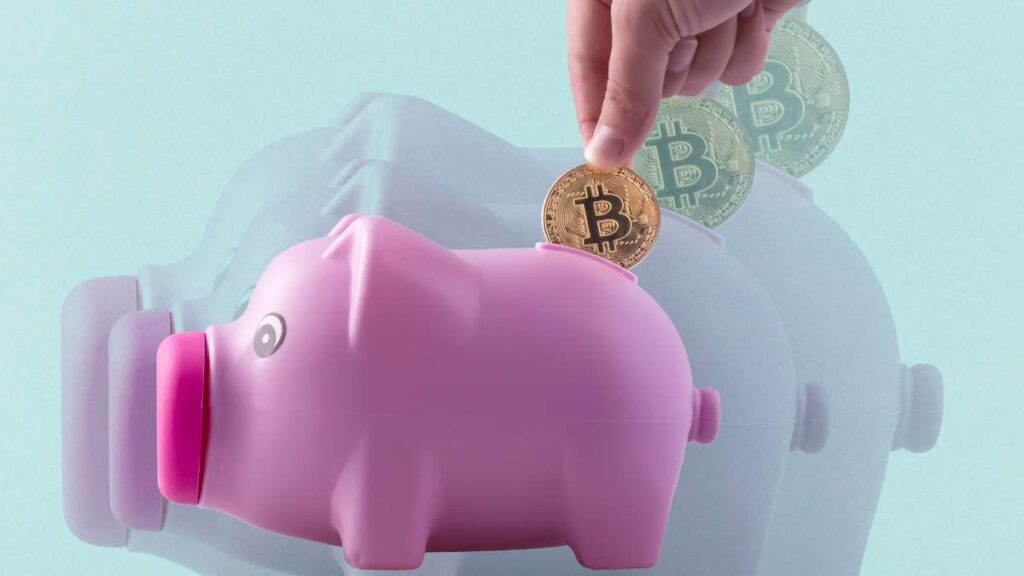 truffa pig butchering