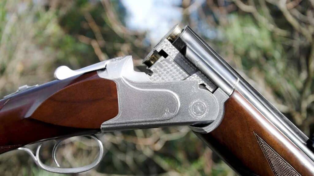 Lupara bianca in Italia - la scomparsa senza traccia