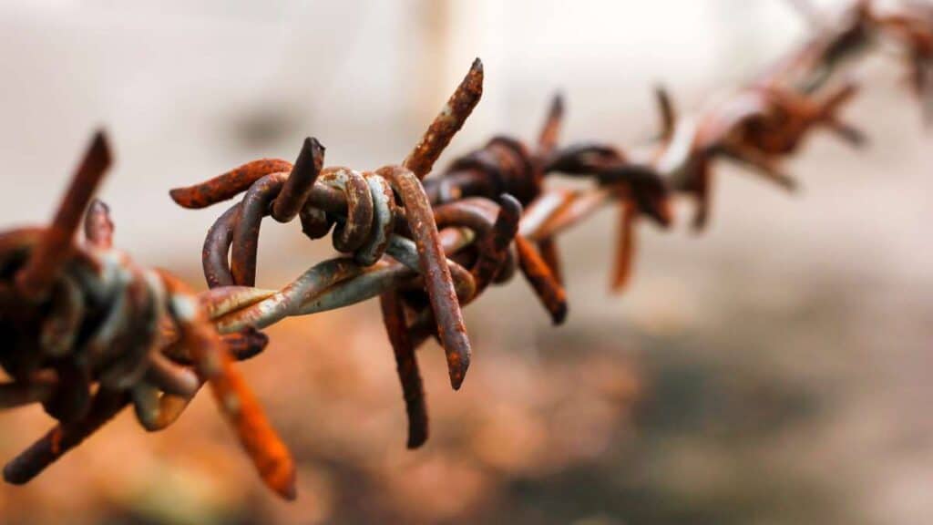 Gulag e repressione - storia