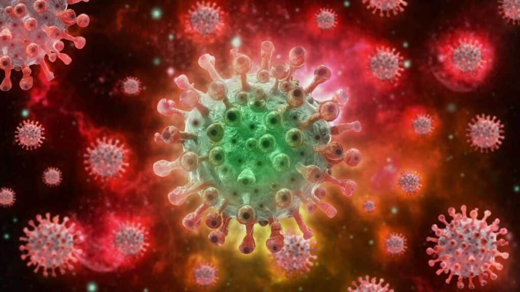 Le nuove rotte del contrabbando del virus mpox (vaiolo delle scimmie)