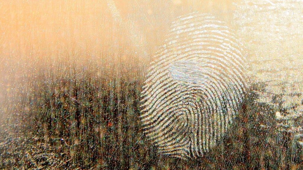 cianoacrilato - il metodo nella ricerca di impronte digitali
